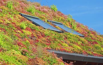 Cowan Head living roof systems